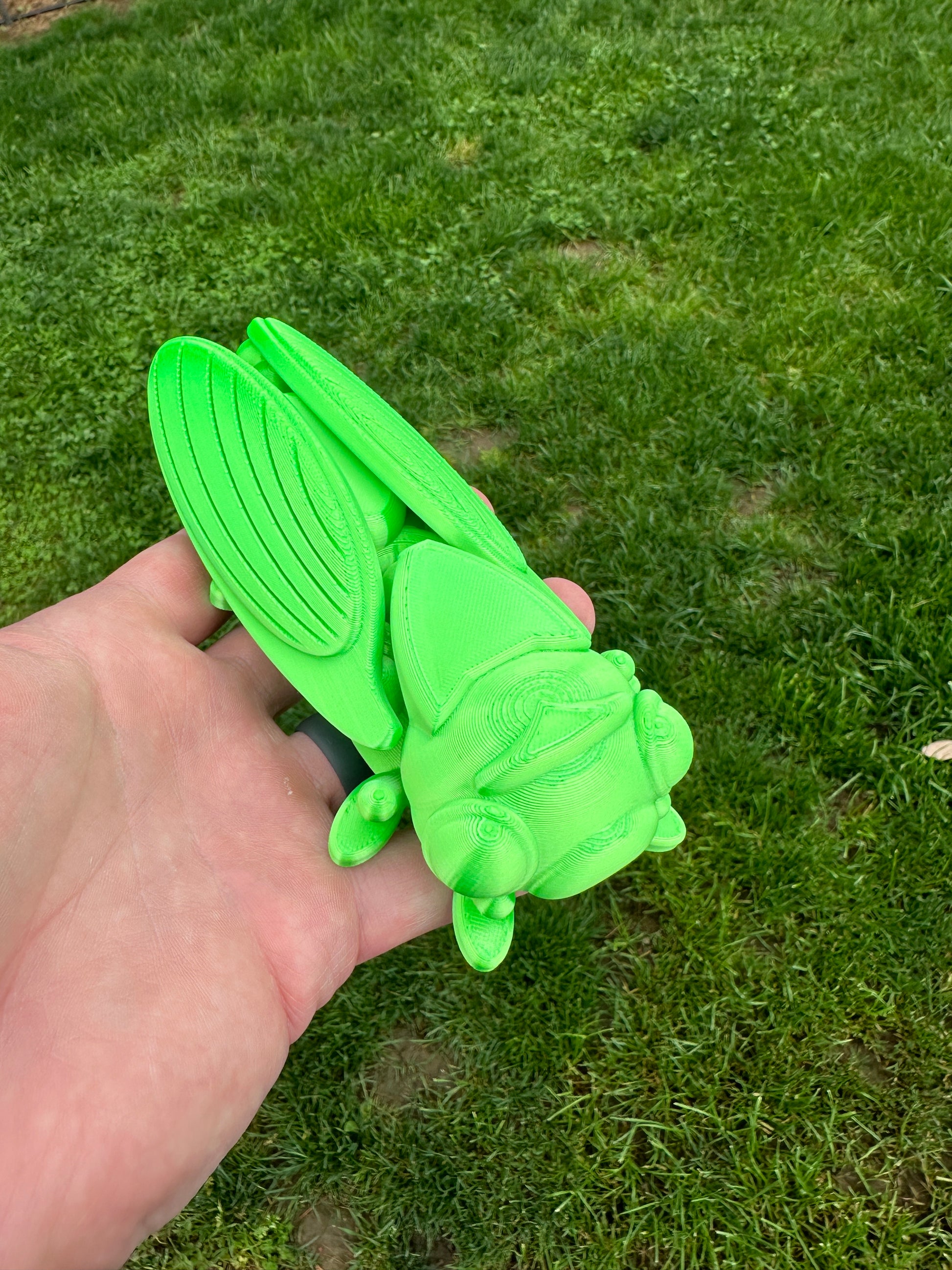 Cicada fidget toy 3D printed articulating keychain gift