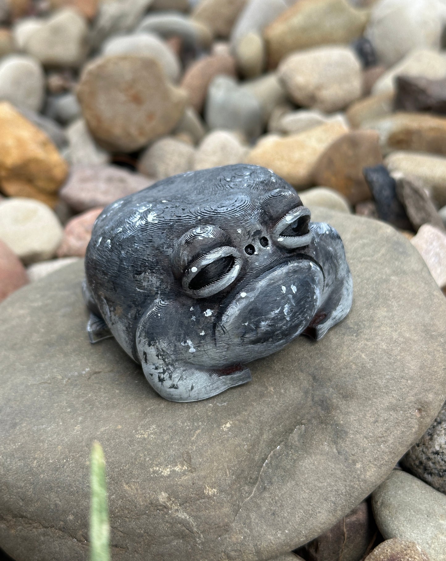 Garnet The Rain Frog