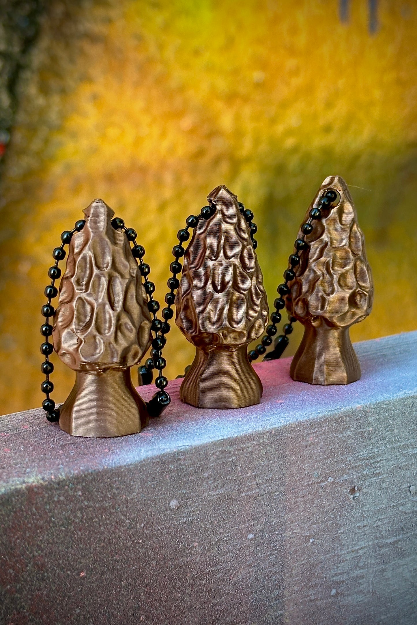 Morel Mushroom