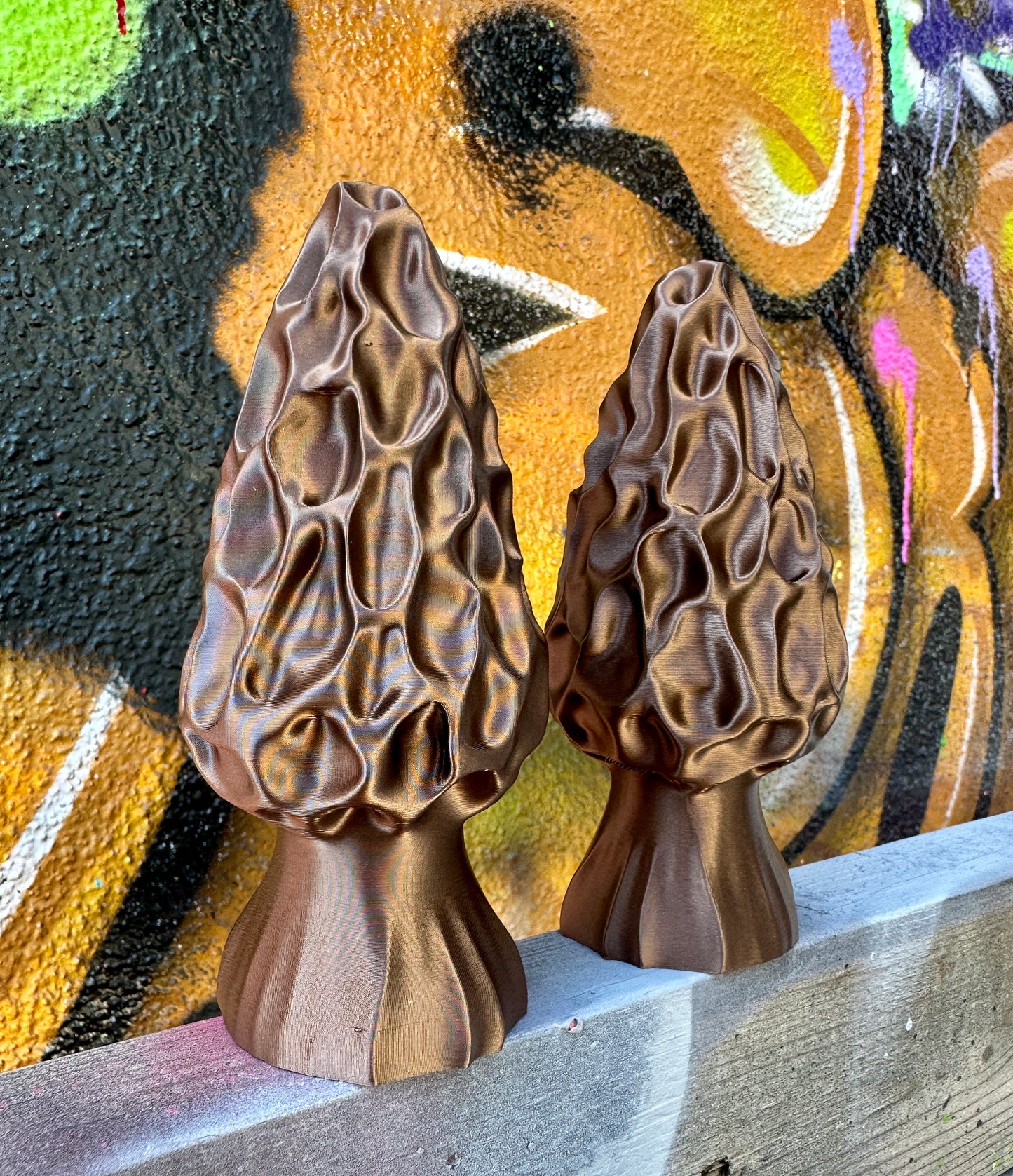 Morel Mushroom