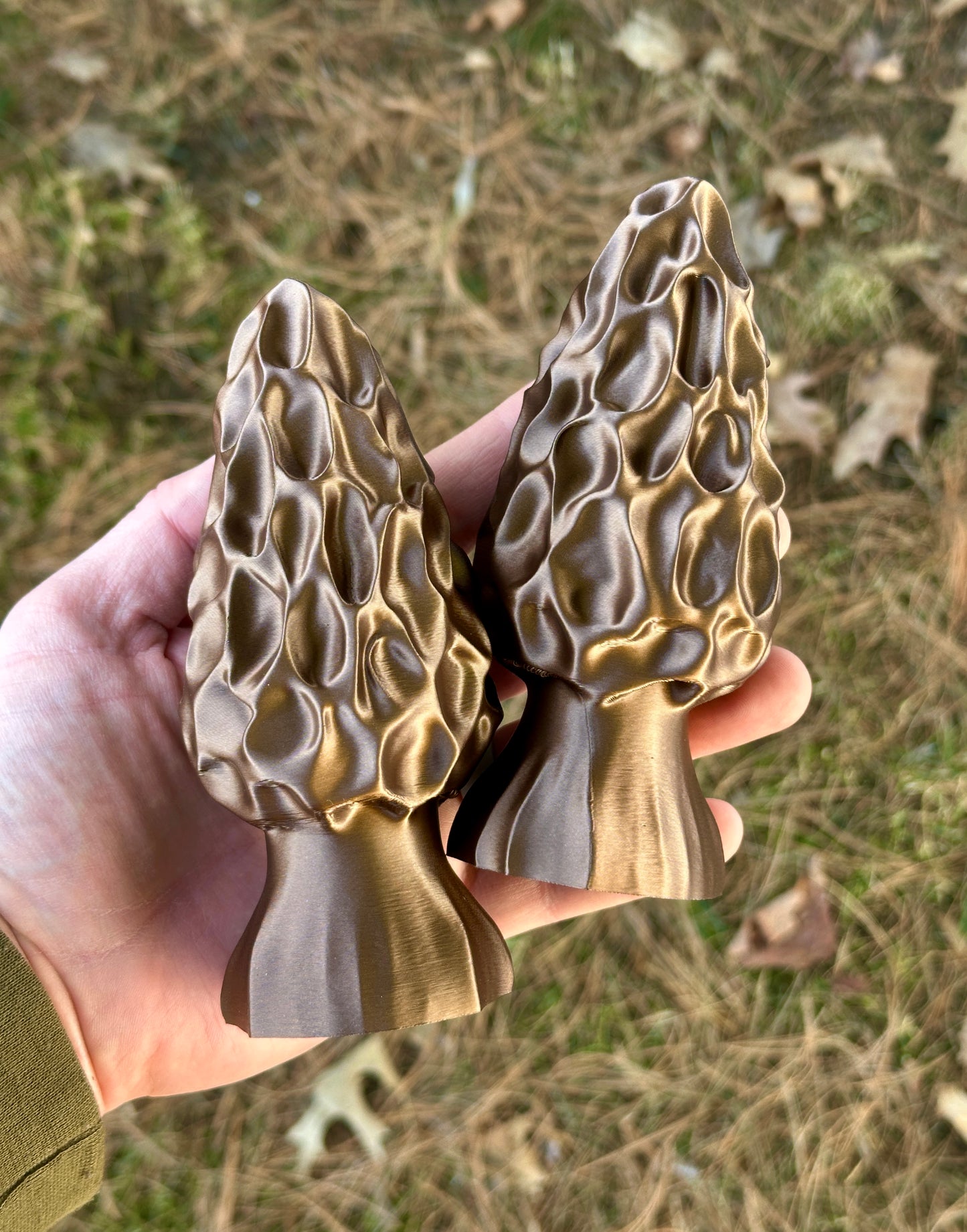 Morel Mushroom